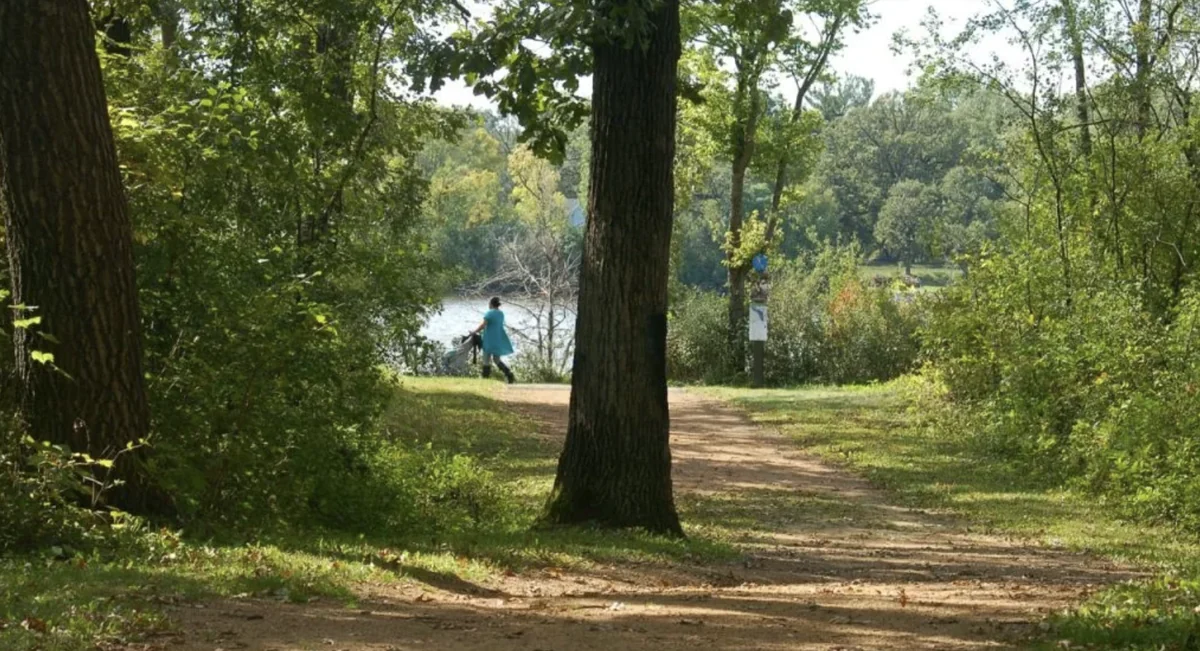 Wooded trail through mature trees leading down to the Mississippi River in a Coon Rapids park
